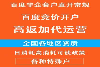 百度竞价包年推广策略——某行业巨头的成功经验